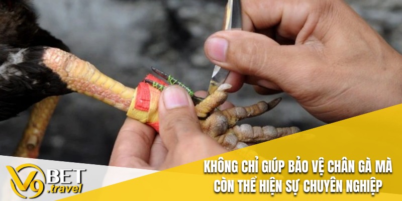 Không chỉ giúp bảo vệ chân gà mà còn thể hiện sự chuyên nghiệp