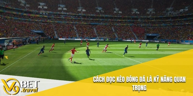 Cách đọc kèo bóng đá là kỹ năng quan trọng