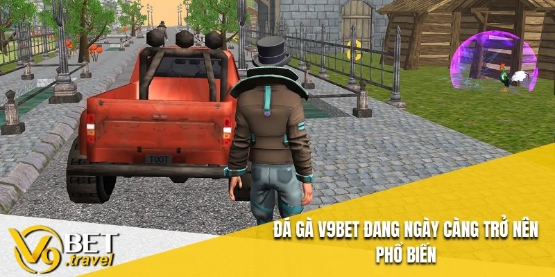 Đá gà V9BET đang ngày càng trở nên phổ biến
