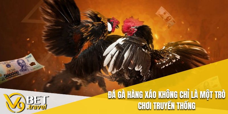 Đá gà hàng xáo không chỉ là một trò chơi truyền thống