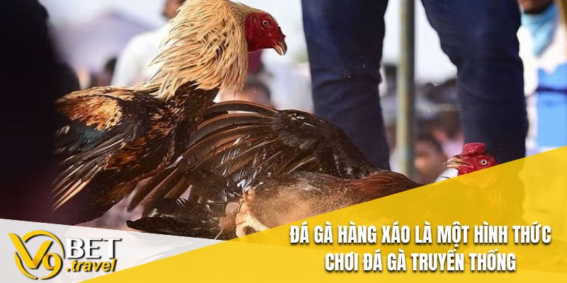 Đá Gà Hàng Xáo là một hình thức chơi đá gà truyền thống