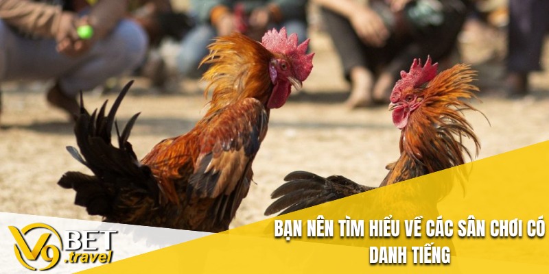 Bạn nên tìm hiểu về các sân chơi có danh tiếng