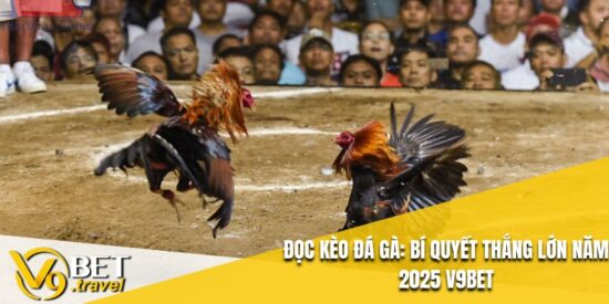 Đọc Kèo Đá Gà