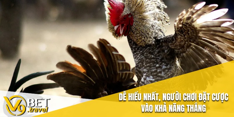 Dễ hiểu nhất, người chơi đặt cược vào khả năng thắng