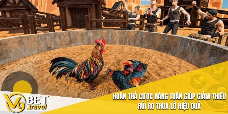 Hoàn trả cược hàng tuần giúp giảm thiểu rủi ro thua lỗ hiệu quả