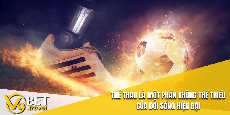 Thể thao là một phần không thể thiếu của đời sống hiện đại